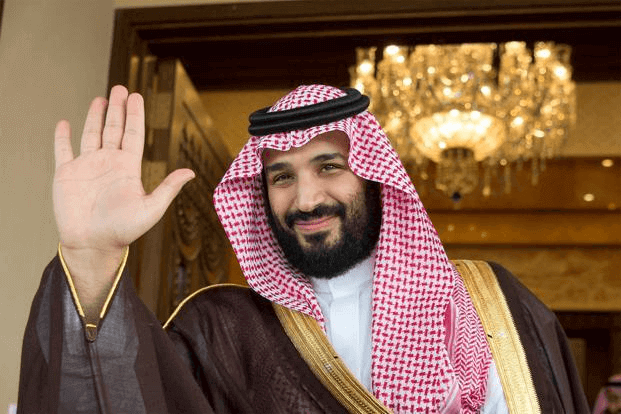 29 Saudi King investment in india